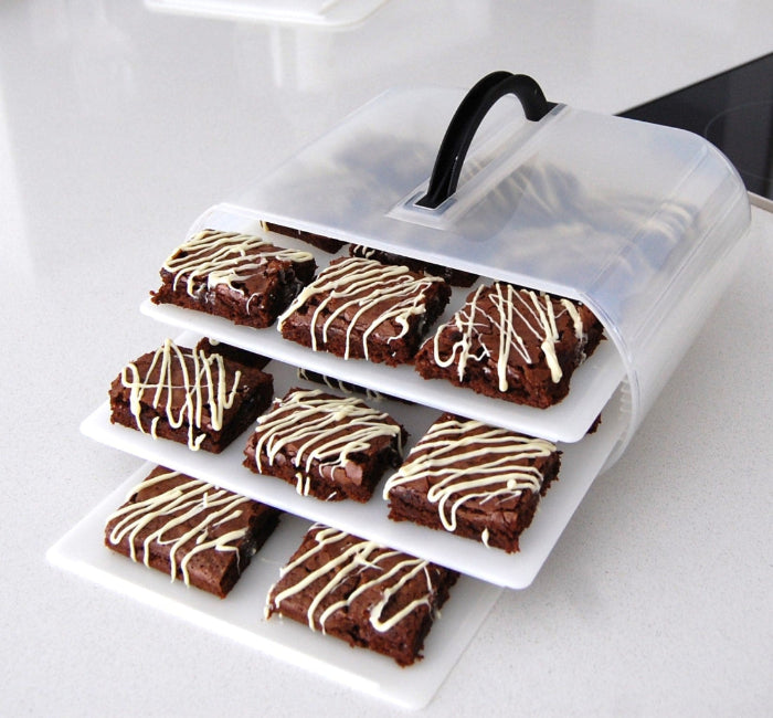 The perfect food storage container for frosted brownies.