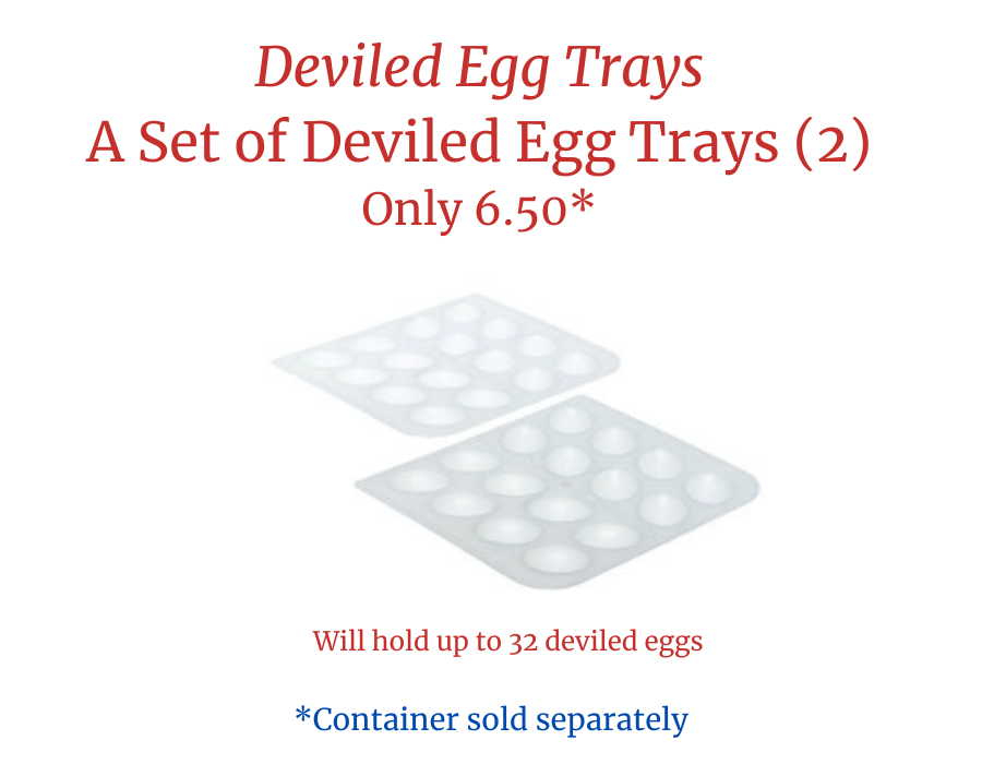 Extra Inserts *Container sold separately*