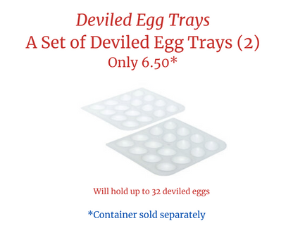 Extra Inserts *Container sold separately*