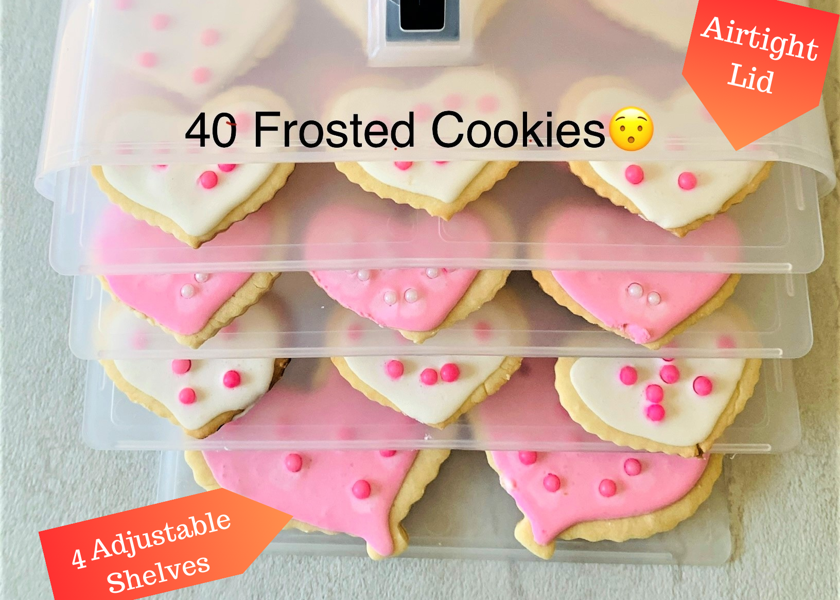 Load video: Best Dessert Carrier!