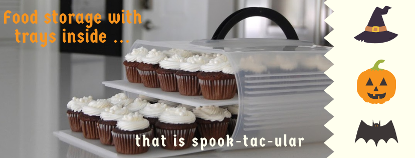 Cupcake carrier